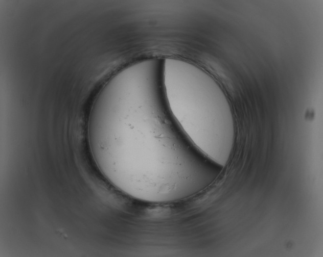 X0000096660362200802051224