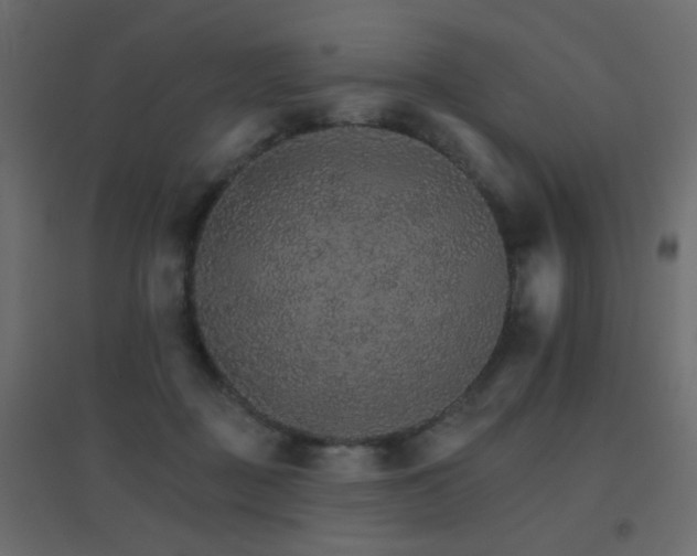 X0000096660363200802051224