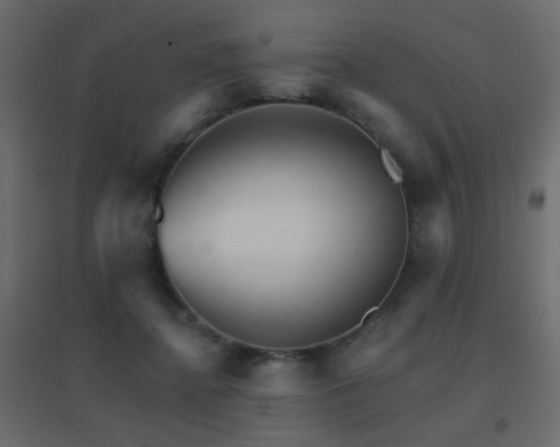 X0000096660364200802051224
