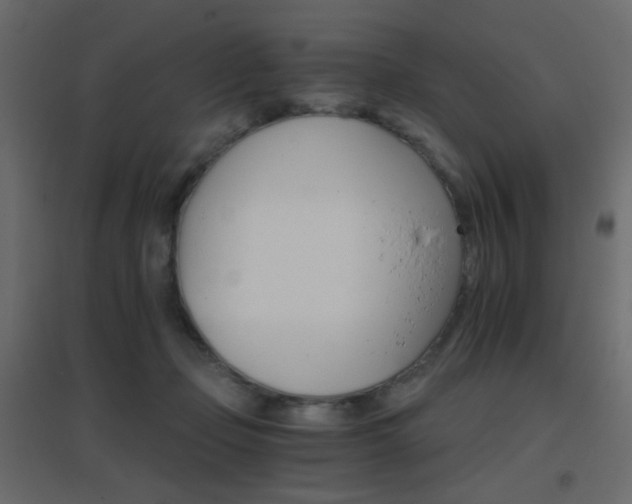 X0000096660365200802051224