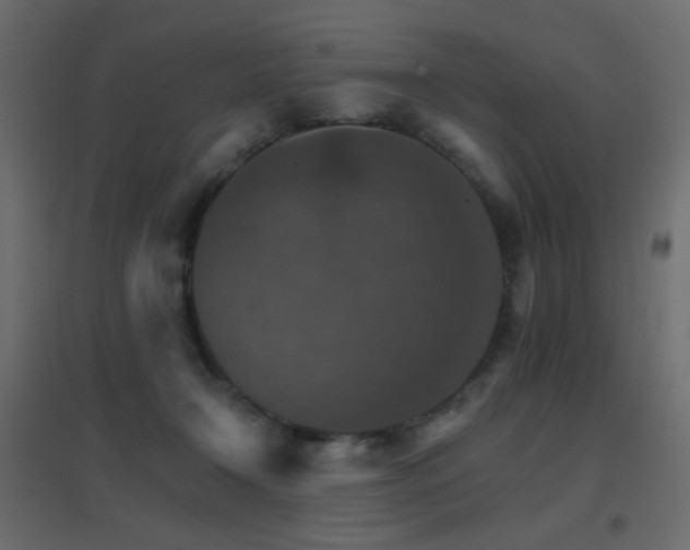 X0000096660366200802051224