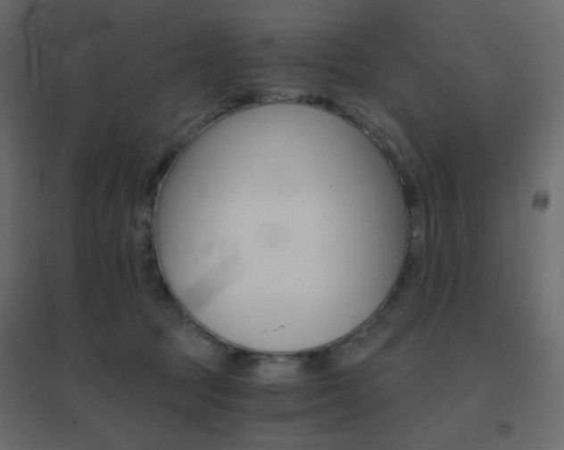 X0000096660369200802051224