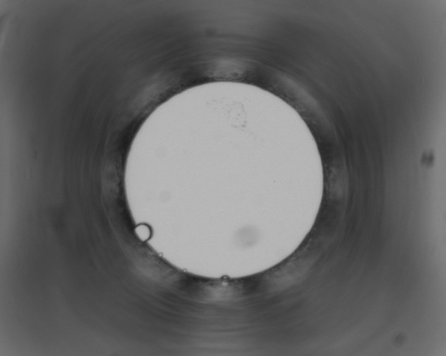X0000096660370200802051224