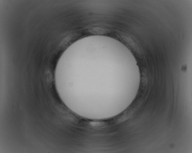 X0000096660371200802051224