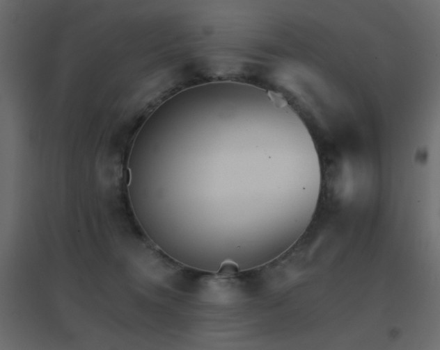 X0000096660372200802051224