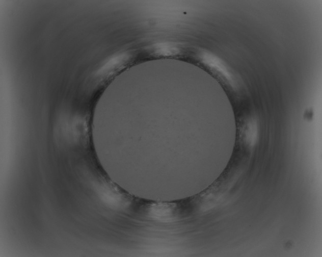 X0000096660373200802051224