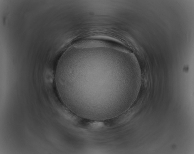 X0000096660374200802051224