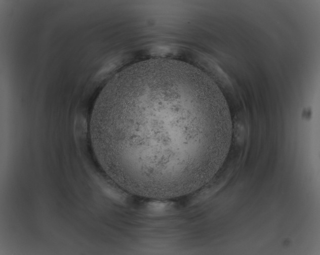X0000096660375200802051224