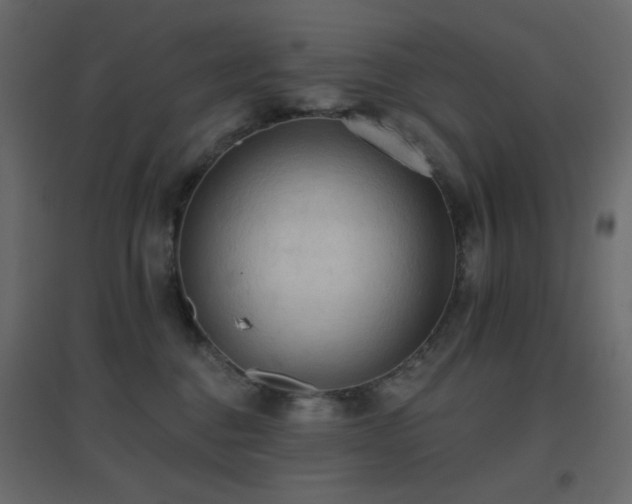 X0000096660376200802051224