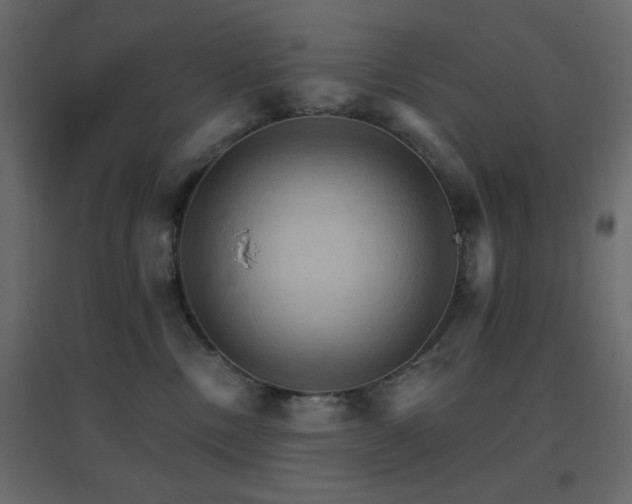 X0000096660378200802051224