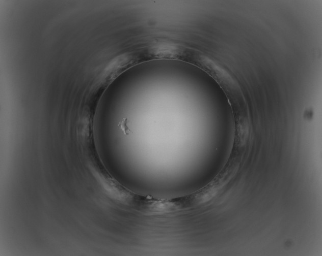X0000096660379200802051224