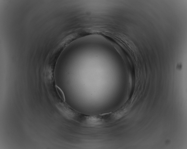 X0000096660380200802051224