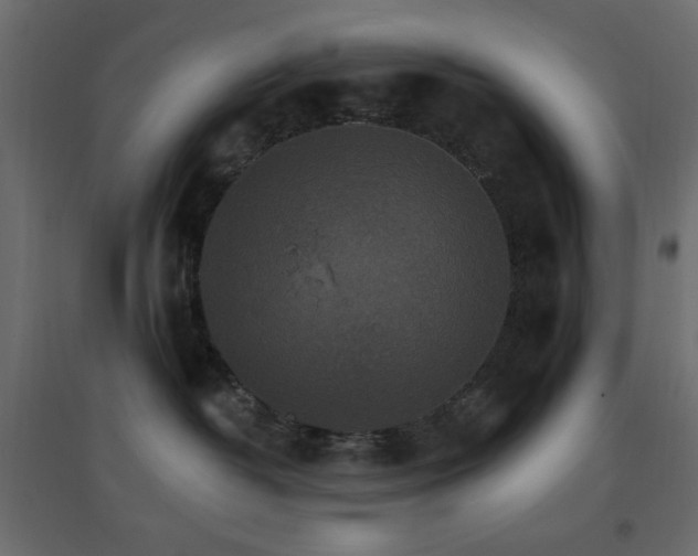 X0000096660382200802051224