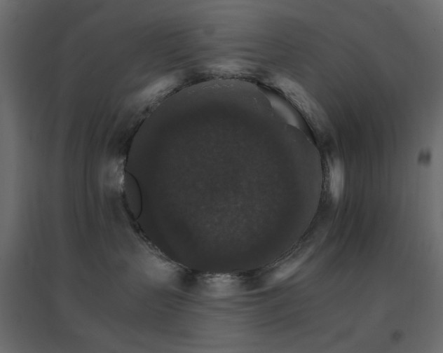 X0000096660383200802051224