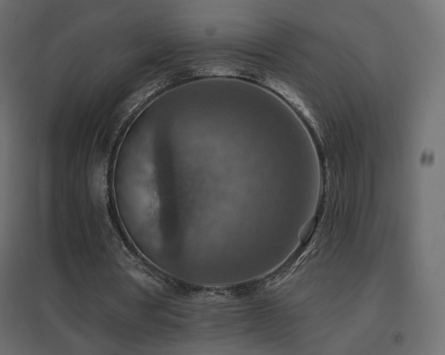 X0000096660386200802051224