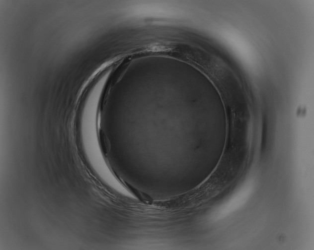 X0000096660387200802051224
