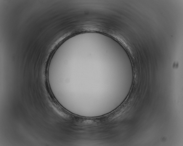 X0000096660390200802051224