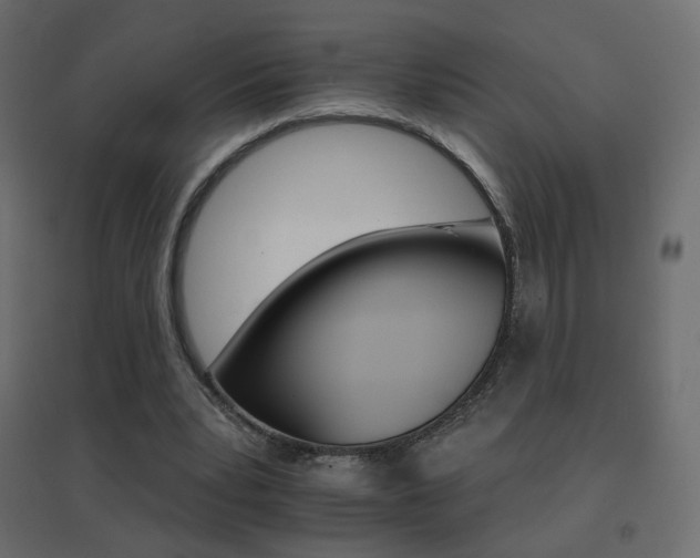 X0000096660391200802051224
