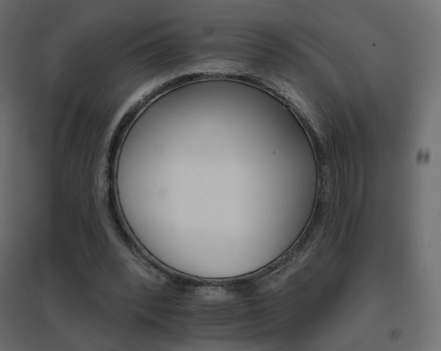 X0000096660392200802051224