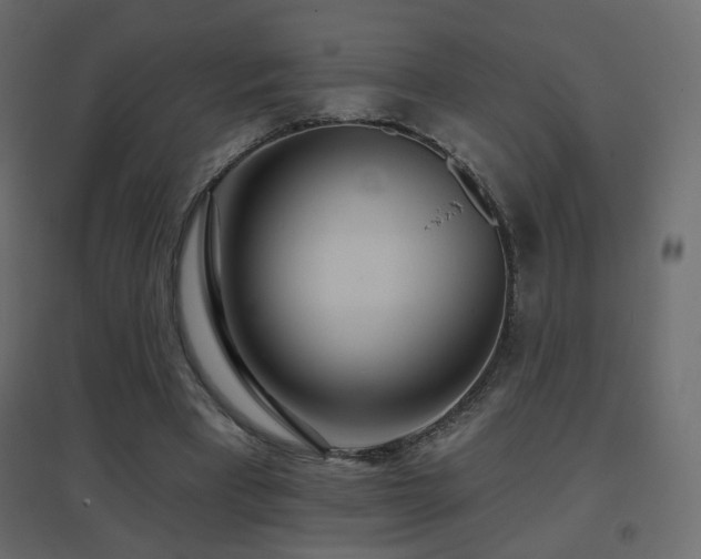 X0000096660393200802051224