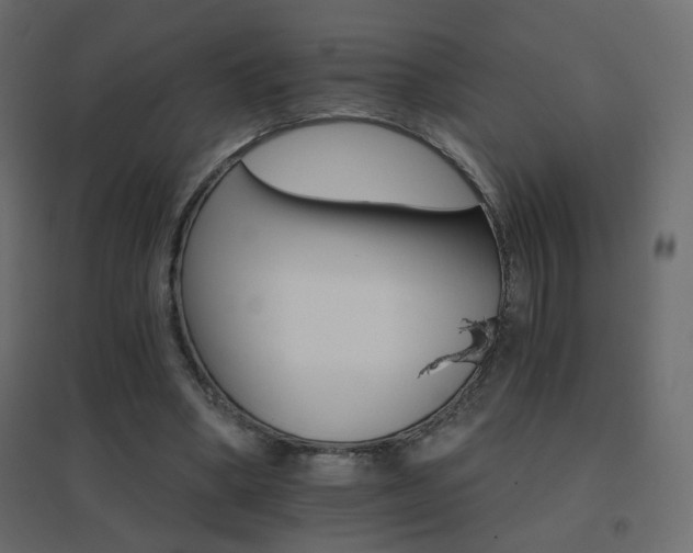 X0000096660394200802051224