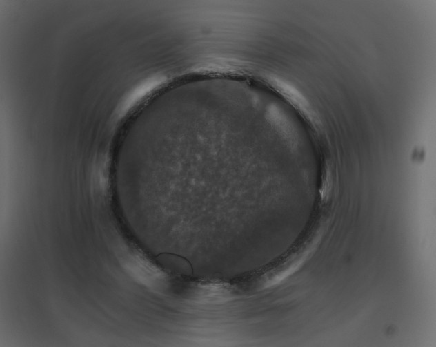 X0000096660396200802051223