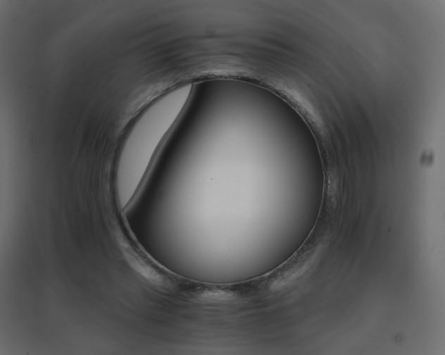 X0000096660397200802051223