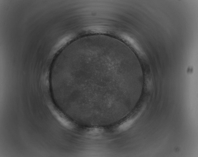 X0000096660398200802051223