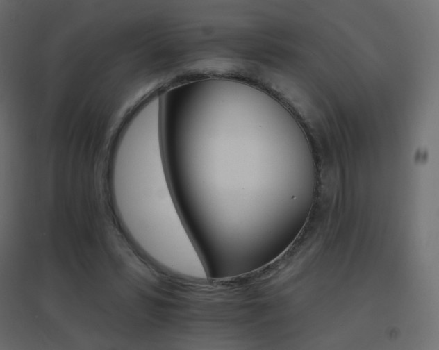 X0000096660399200802051223