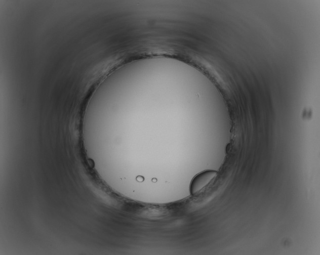 X0000096660402200802051223