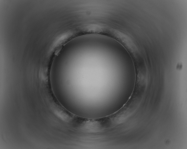 X0000096660403200802051223