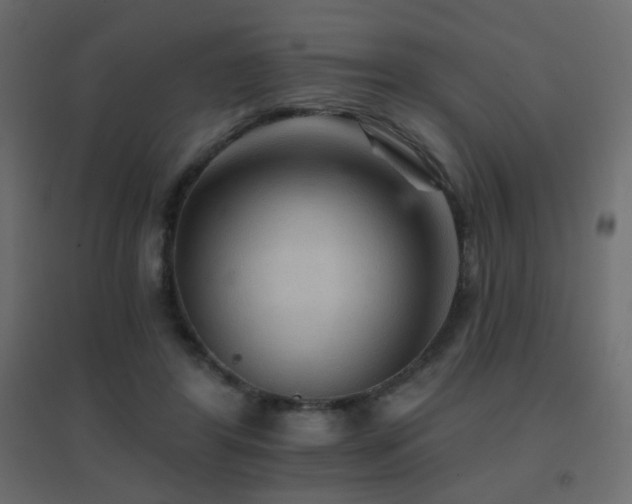 X0000096660404200802051223