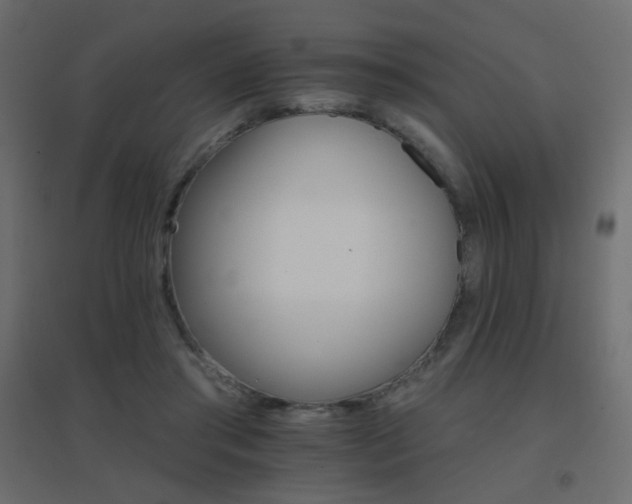 X0000096660405200802051223