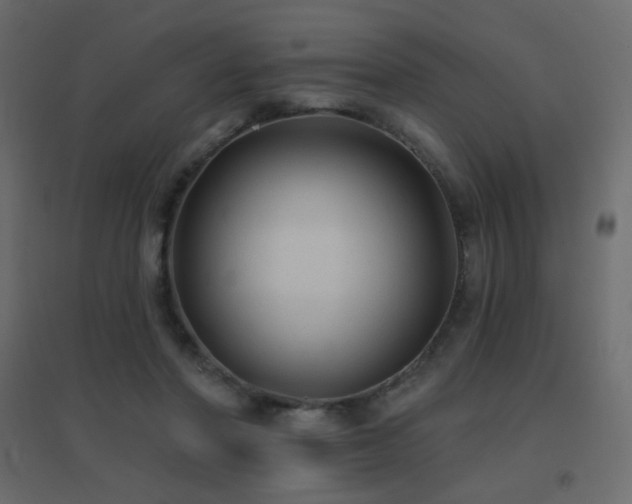 X0000096660406200802051223