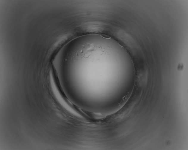 X0000096660407200802051223