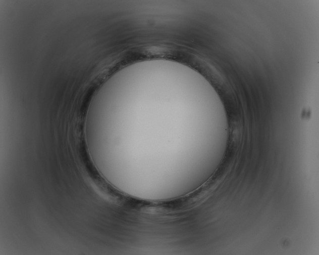 X0000096660408200802051223