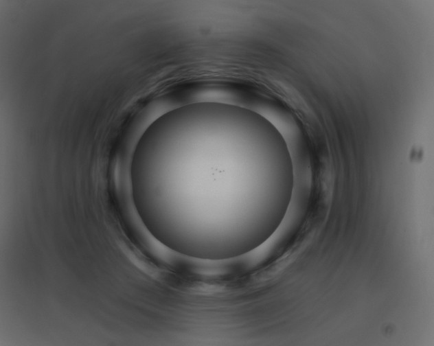 X0000096660409200802051223