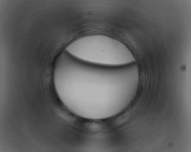 X0000096660412200802051223