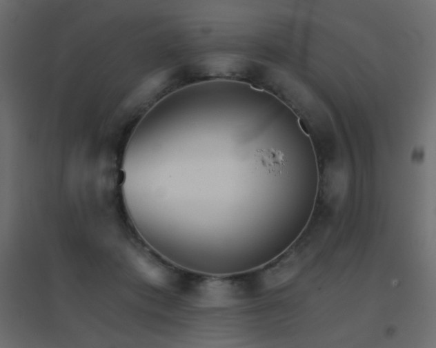 X0000096660413200802051223