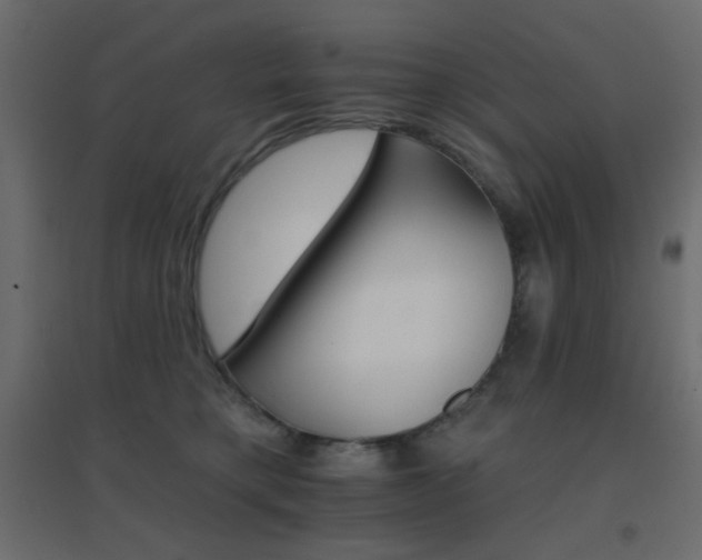 X0000096660421200802051223