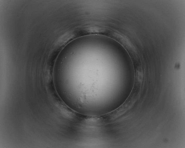 X0000096660422200802051223
