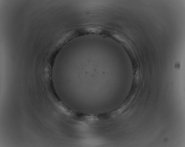 X0000096660424200802051223