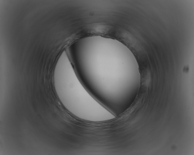 X0000096660425200802051223