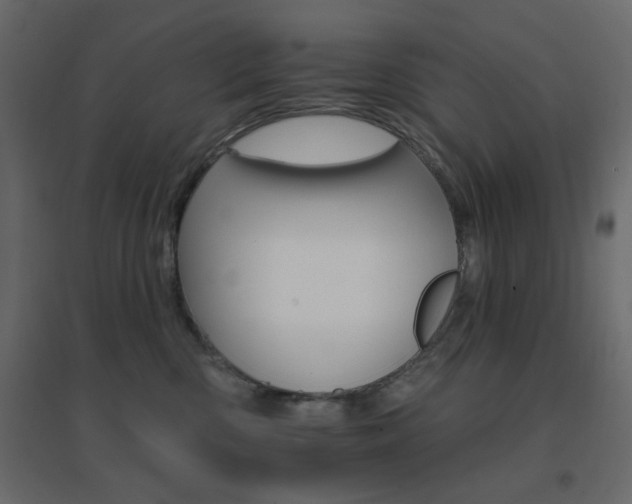 X0000096660426200802051223