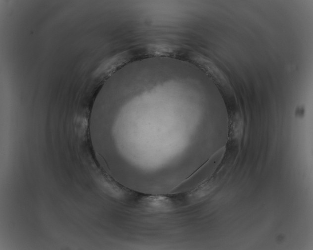 X0000096660427200802051223