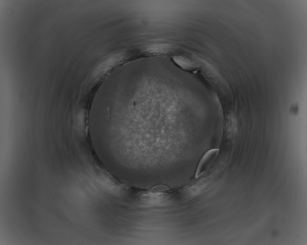 X0000096660428200802051223