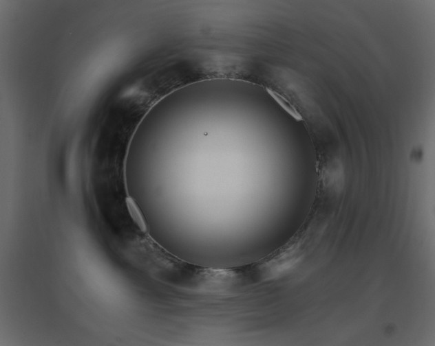 X0000096660429200802051223