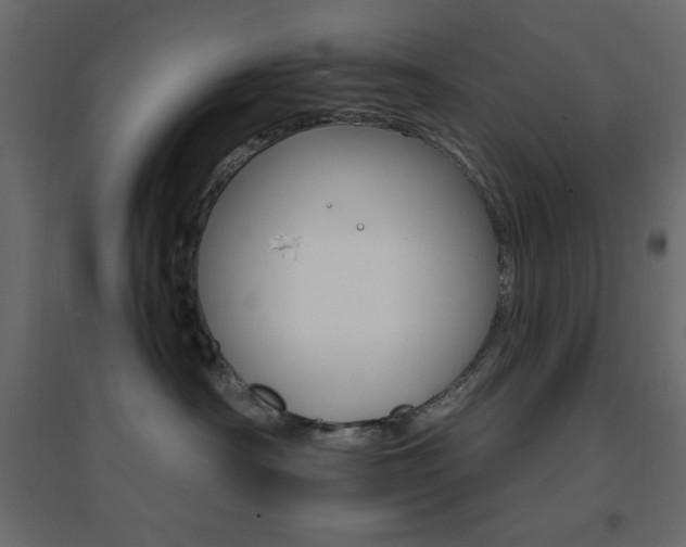 X0000096660430200802051223