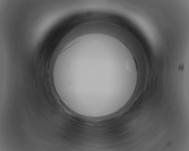 X0000096660431200802051223