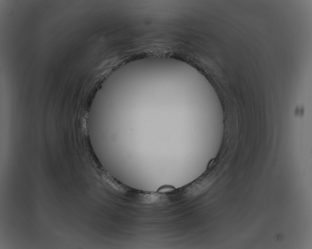 X0000096660432200802051223